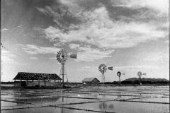 Salinas - região de Massambaba