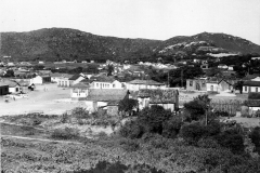 19-C