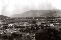 31-C