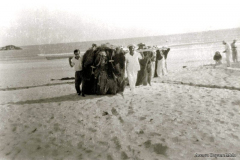 Pescadores recolhendo rede depois de seca, Praia Grande