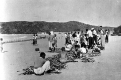 Escala de Sardinha na Praia dos Anjos