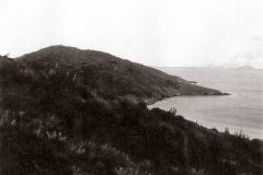 1-P