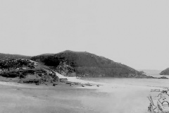 25-C