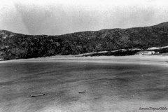 36-C